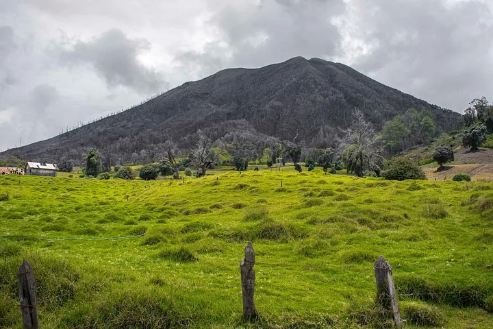 Ein grünes, grasbewachsenes Feld mit einem dunklen, kahlen Berg im Hintergrund